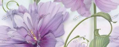 Dec Melinda Panno A 20х50 Ceradim sun-id-311870