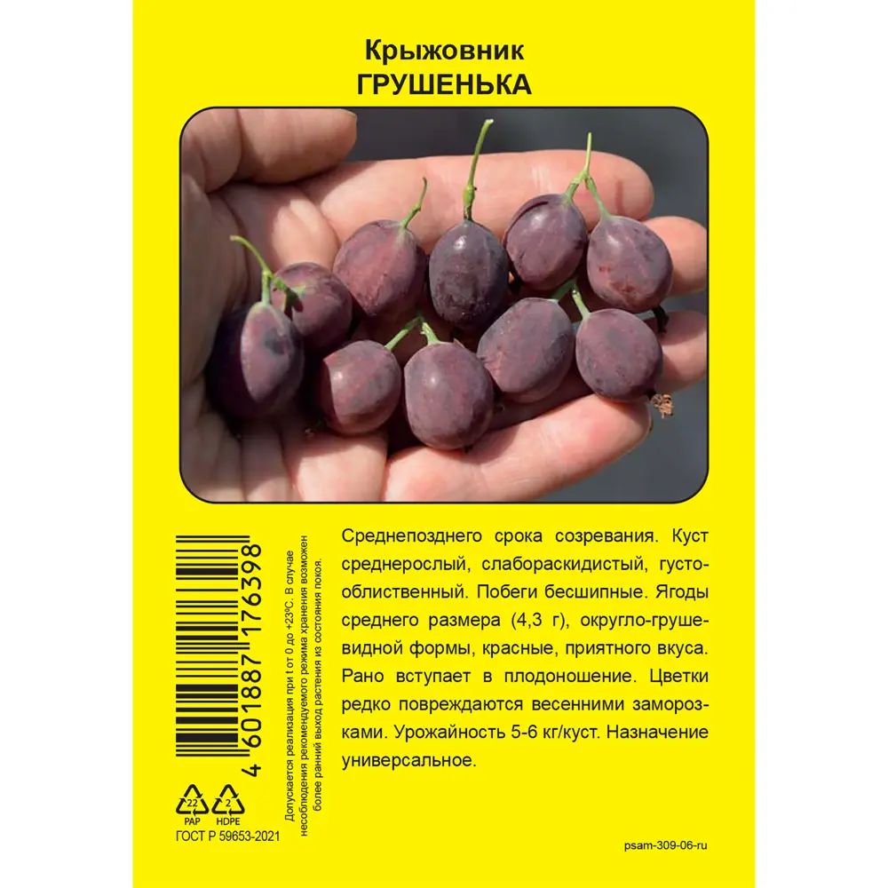 Крыжовник Грушенька пакет h37 см 89452390 STLM-2160640 Santreyd  - Вид №1