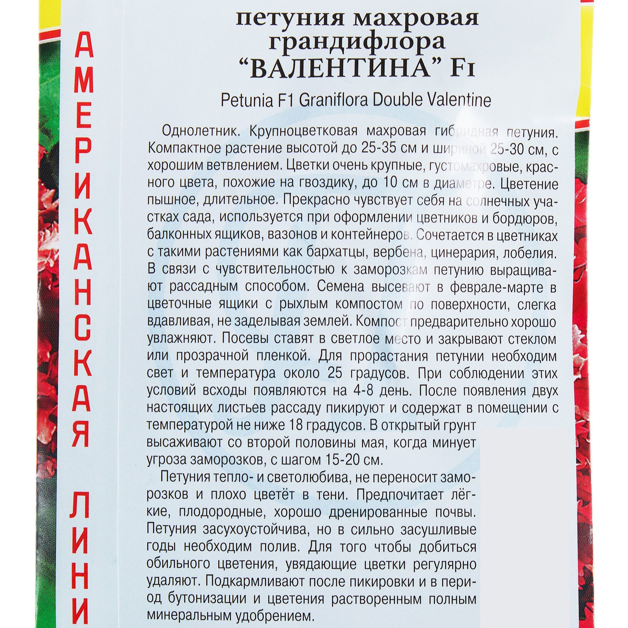 17301459 Петуния махровая грандифлора «Валентина F1» Santreyd  - Вид №2