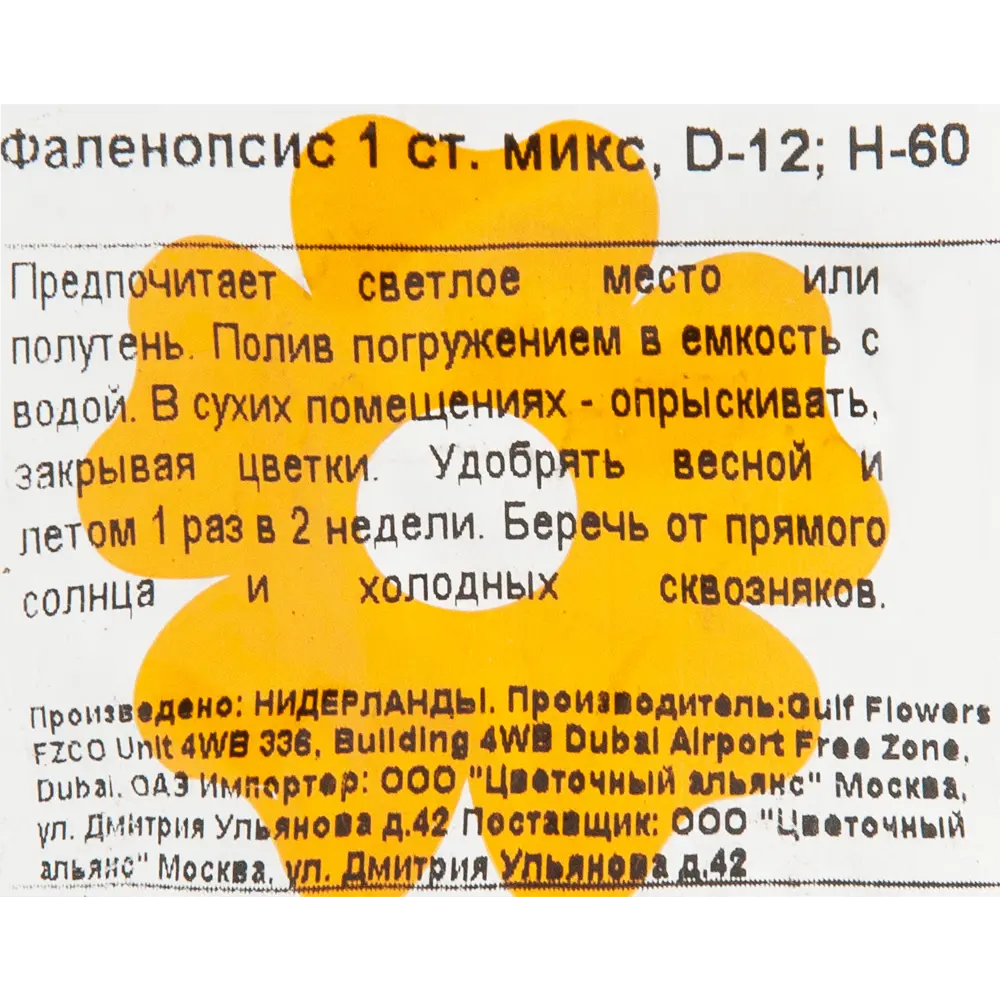 Орхидея Фаленопсис микс 1 стебель ø12 h60 см 82548556 STLM-2155233 Santreyd  - Вид №2