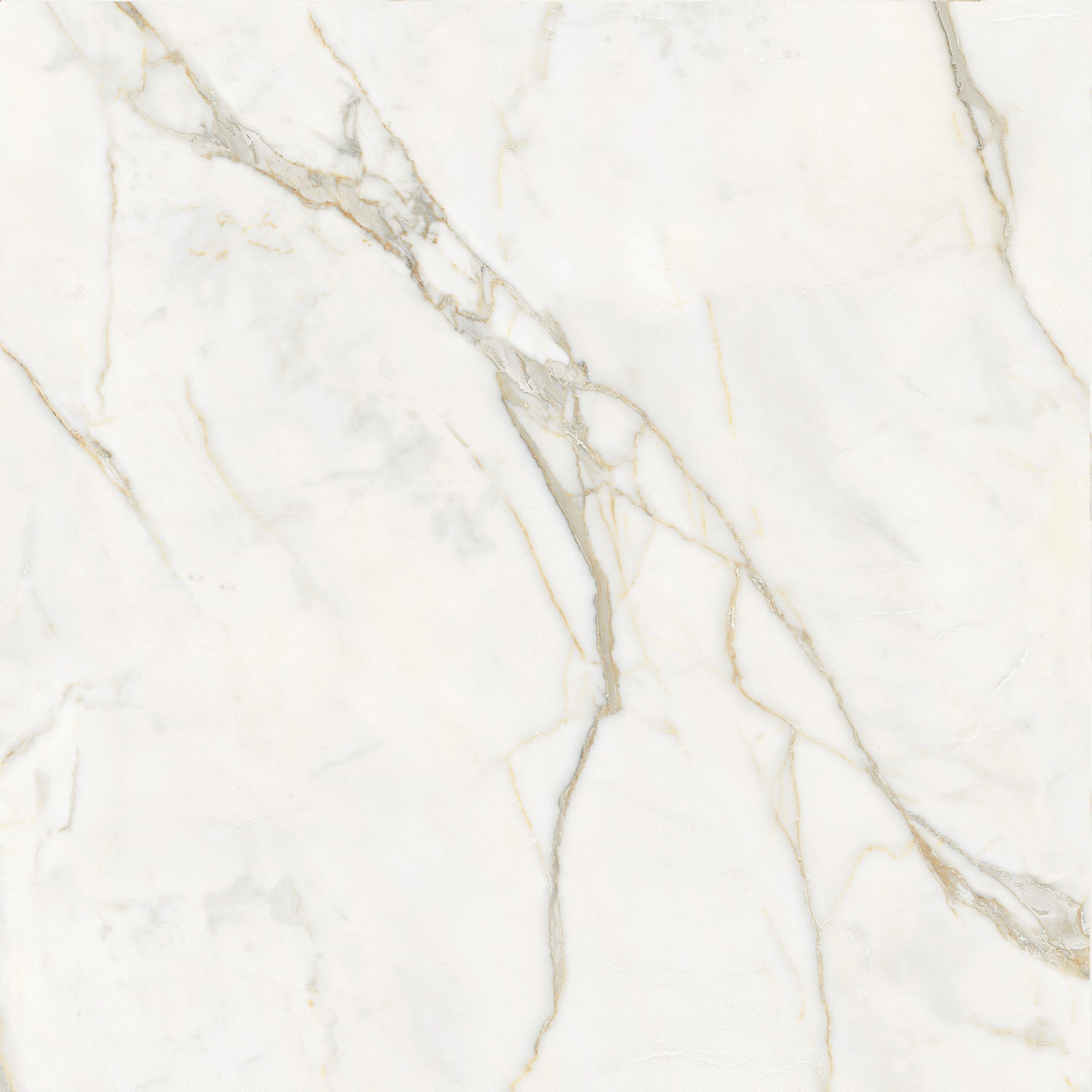 Пол / керамогранит с мраморным эффектом Italgraniti Marble Touch ARCH-00152884 - Вид №18