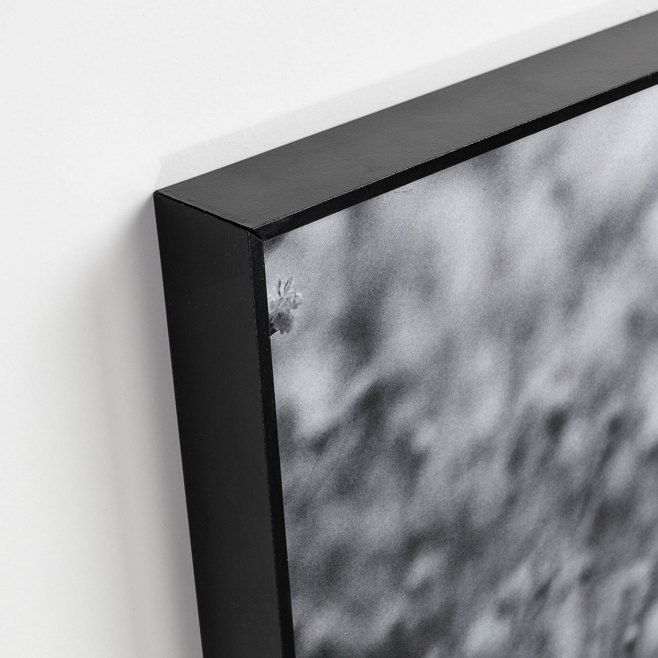 Картина в раме черно-белая 70х50 см "Каланта. Дерево" от La Forma LA FORMA  343066 Серый;черный  - Вид №1