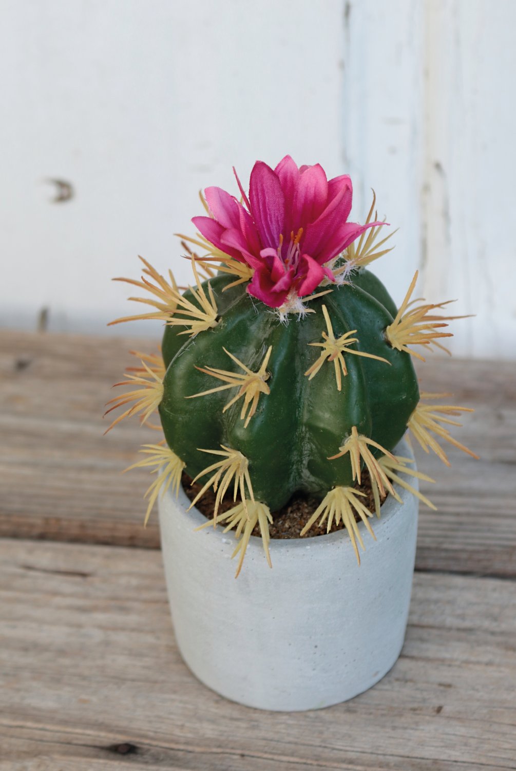 6068 883 a3 Пластиковые суккуленты-микс, в горшках, 3 шт., 10/14/17 см, зеленые H-andreas  - Вид №1