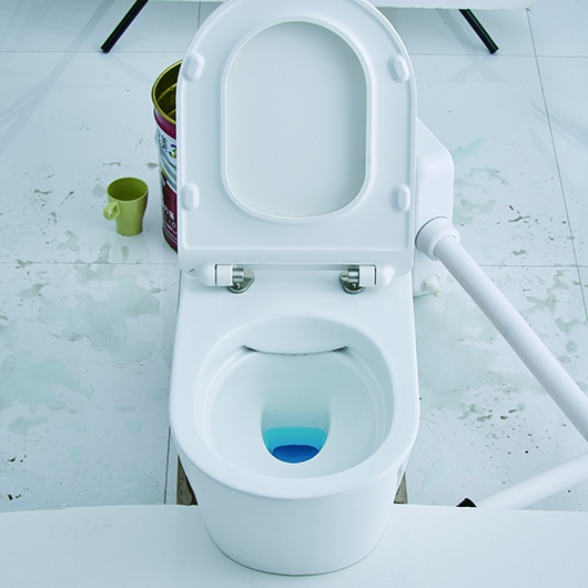 CT2063V Подвесной унитаз SSWW CT  - Вид №3