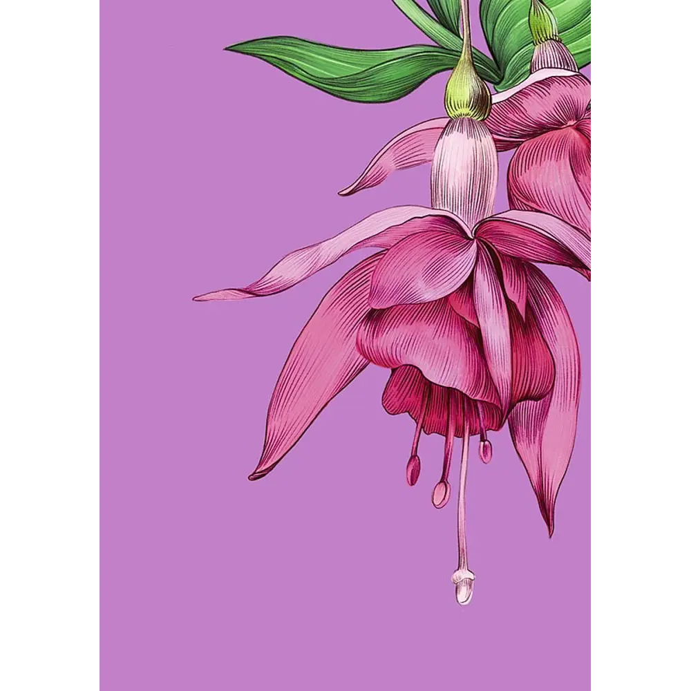 Постер Флора 30x40 см 2 шт АРТ ДИЗАЙН STLM-2156812 - Вид №2