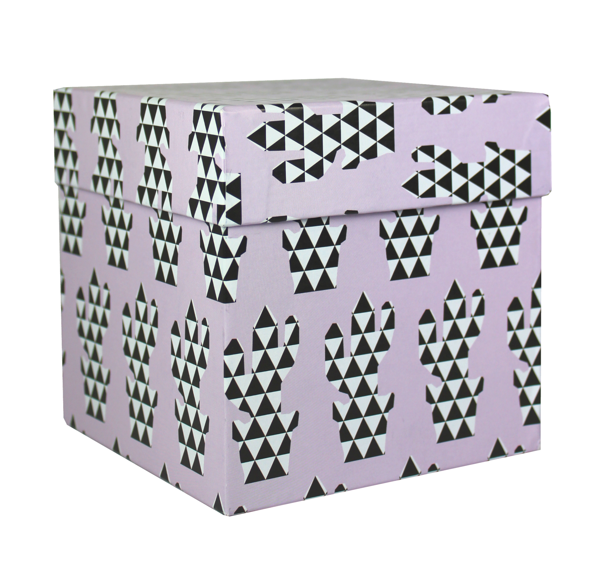 509912 Коробка подарочная "Граненый кактус", 12,5 х 12,5 х 12,5 см Santreyd 