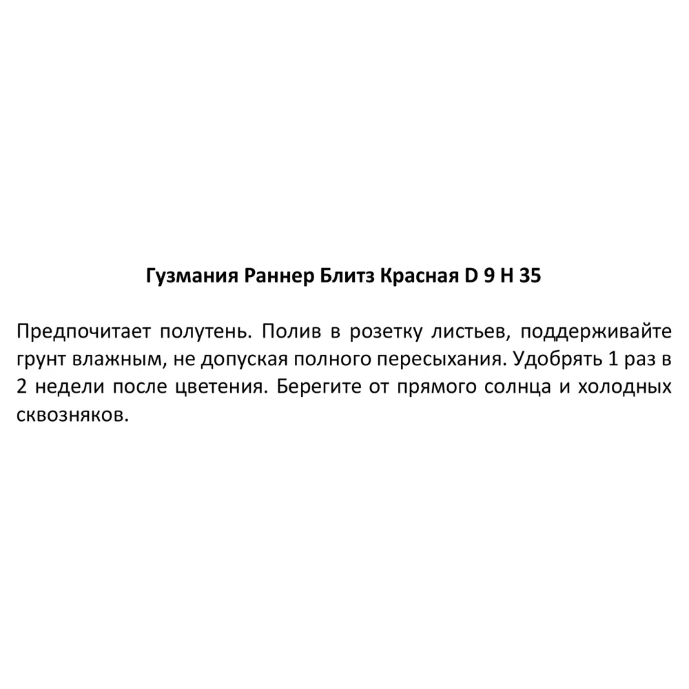 Santreyd Гузмания Раннер Блитз - живой акцент для интерьера 87890507 STLM-0952081 - Вид №3