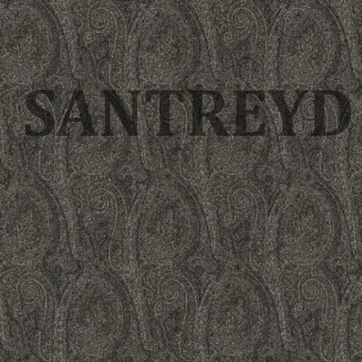 513950 Обои Rasch Etro