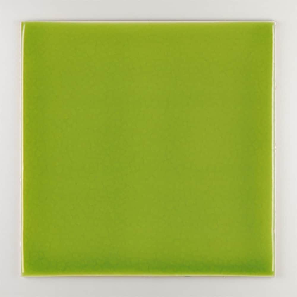 Пол / покрытие ручной работы La Riggiola одноцветный ARCH-00019984 - Вид №16