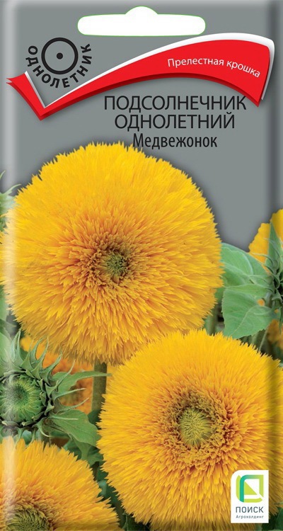 Santreyd Подсолнечник Медвежонок - декоративные семена с махровыми цветами 86217988 STLM-0066945