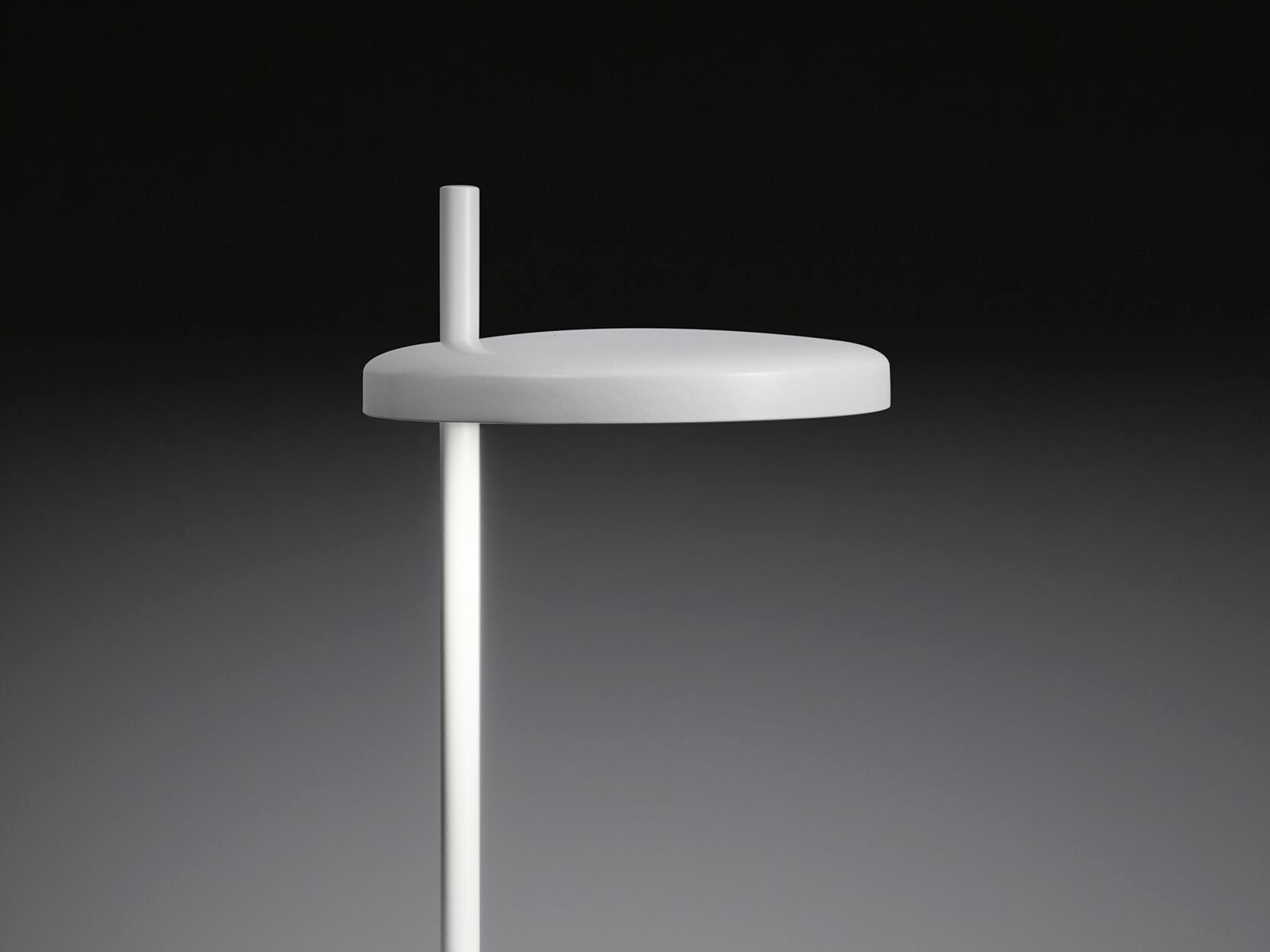 Металл Dimmable напольный напольный светильник ZAVA SALVIA ARCH-00078829