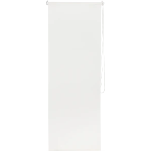 Штора рулонная Inspire Шантунг 50x160 см белая 16734316 STLM-2184051