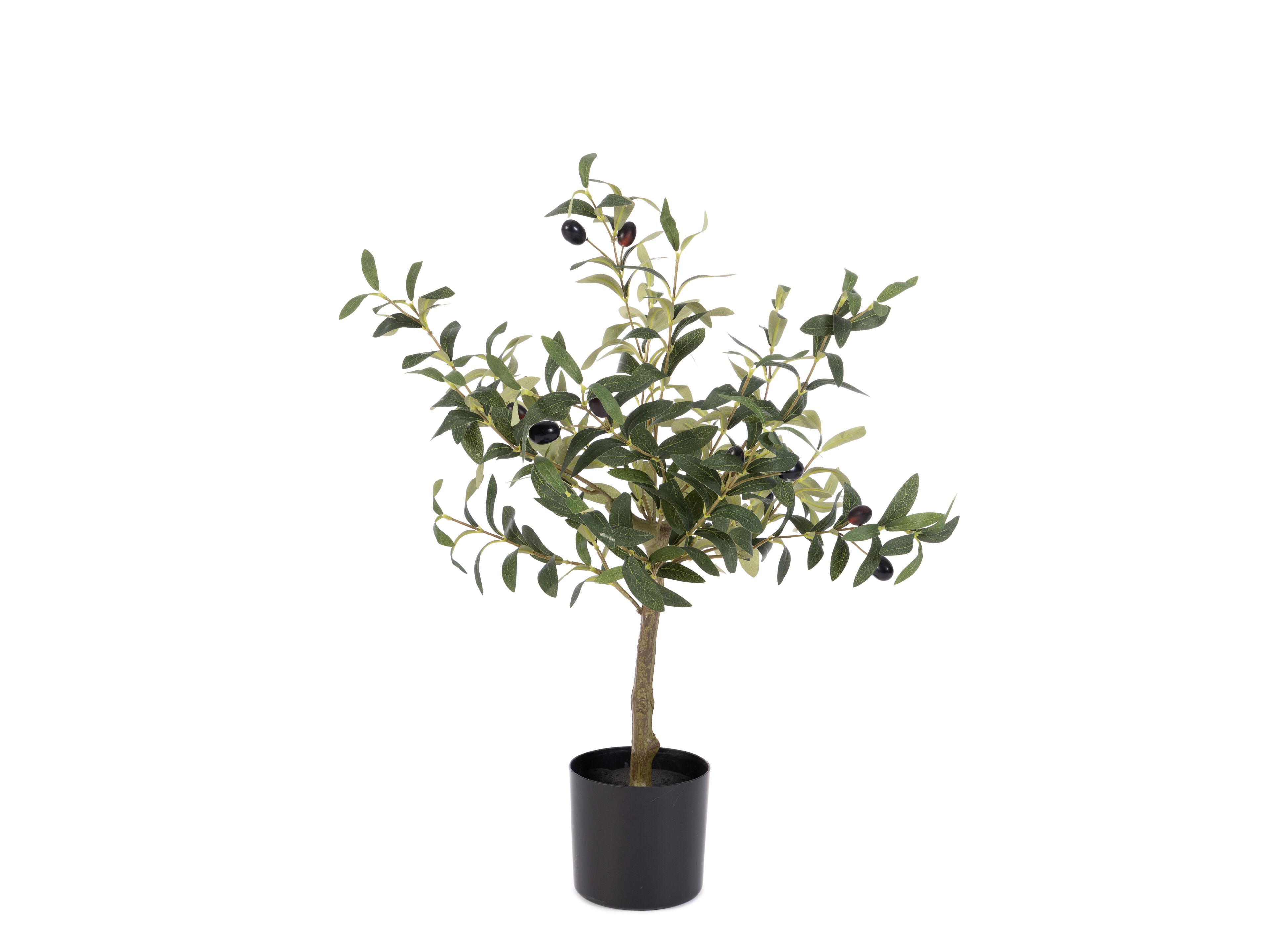 Искусственное растение BIZZOTTO ULIVO H65 ARCH-00081402