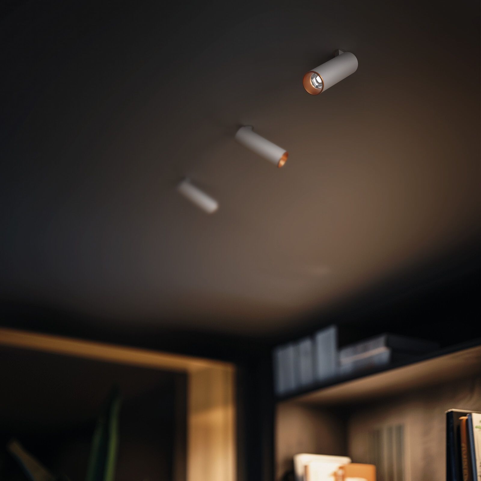 Регулируемый потолочный светодиодный прожектор Linea Light Group GYPSUM COLORING POINT ARCH-00112181 - Вид №3