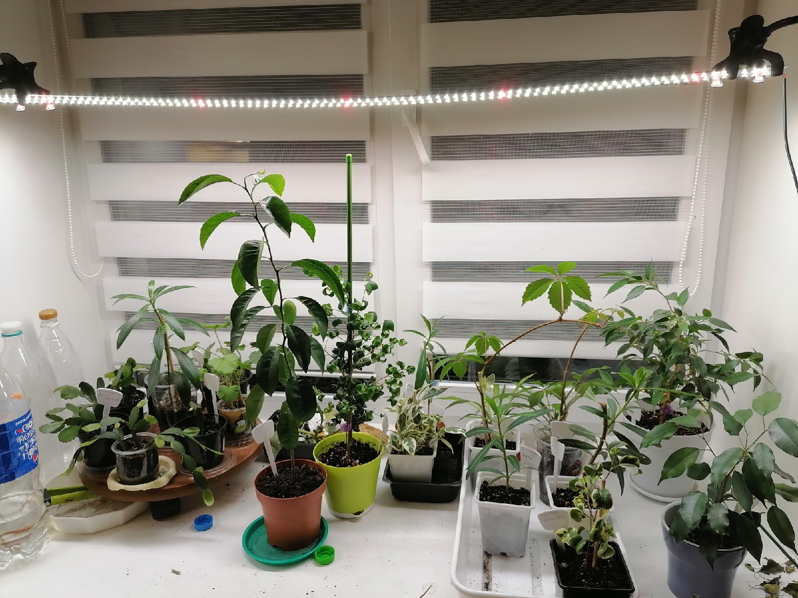 1003 Комплект "Досветка растений на подоконнике 110 см" LAB.Space  - Вид №1