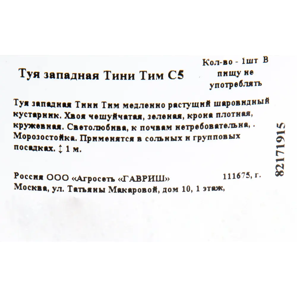 Туя западная «Тини Тим» C7.5 82171915 STLM-2088234 ГАВРИШ  - Вид №1