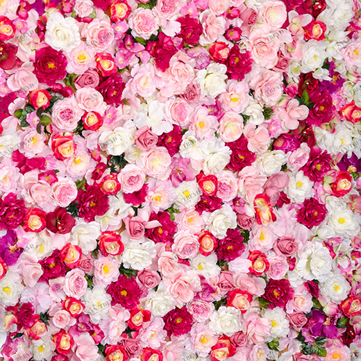 B2-093 Фотообои DIVINO Collection B 2.7х2 м B2093