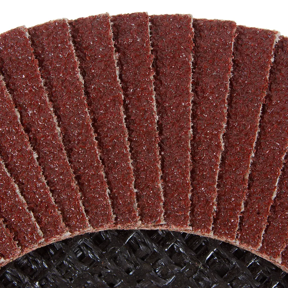 Лепестковый шлифовальный круг FLEXIONE для грубой обработки поверхностей 81929902 STLM-0014056 - Вид №1