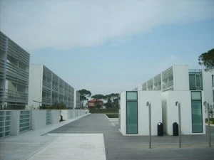 GCP Applied Technologies Самоклеящаяся гидроизоляционная мембрана для крыш