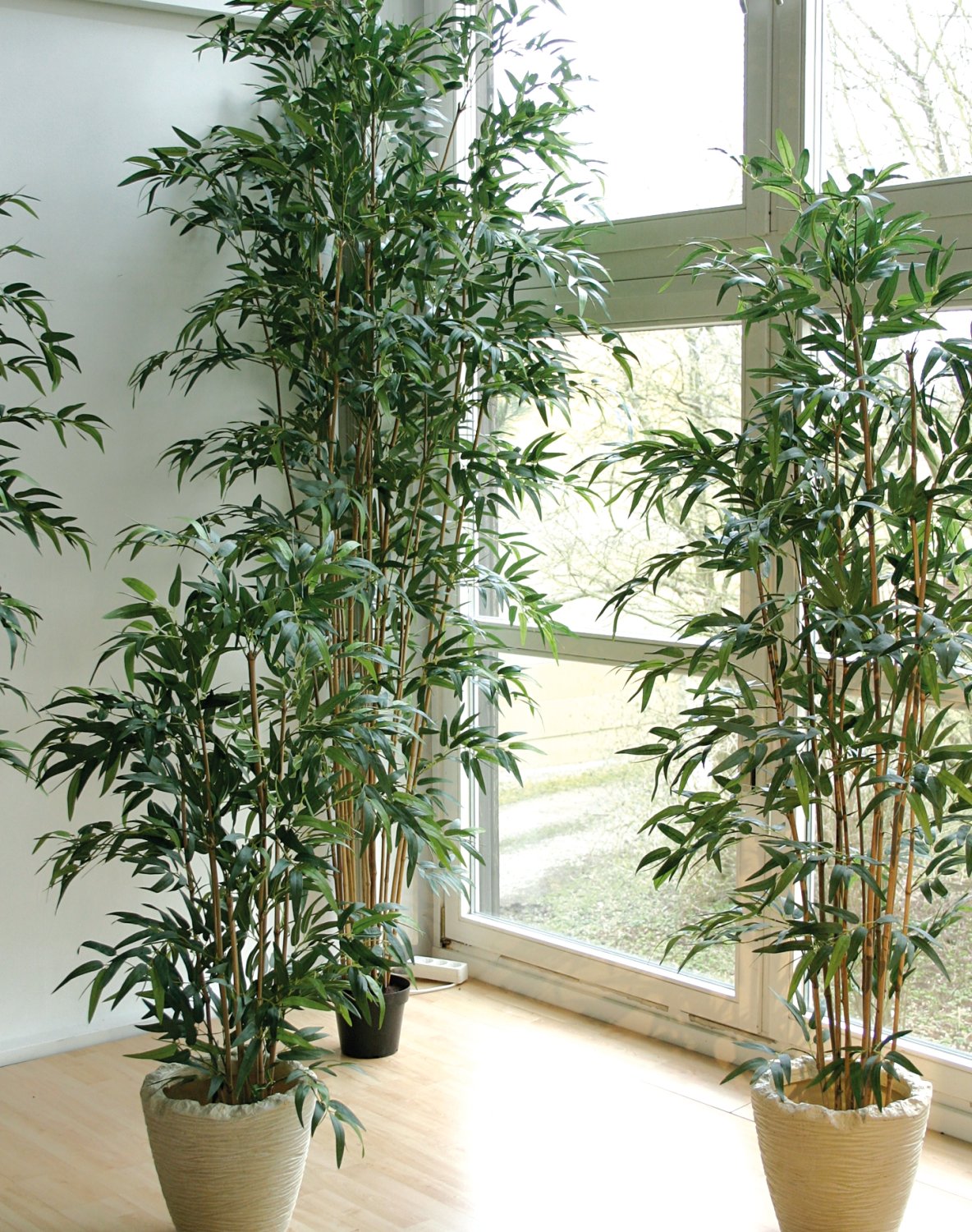 5744 883 a3 Бамбук искусственный, в горшке, 2600 листьев, 240 см, зеленый H-andreas 