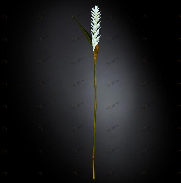 VGnewtrend Искусственное растение из полиэстера  1001674.95 