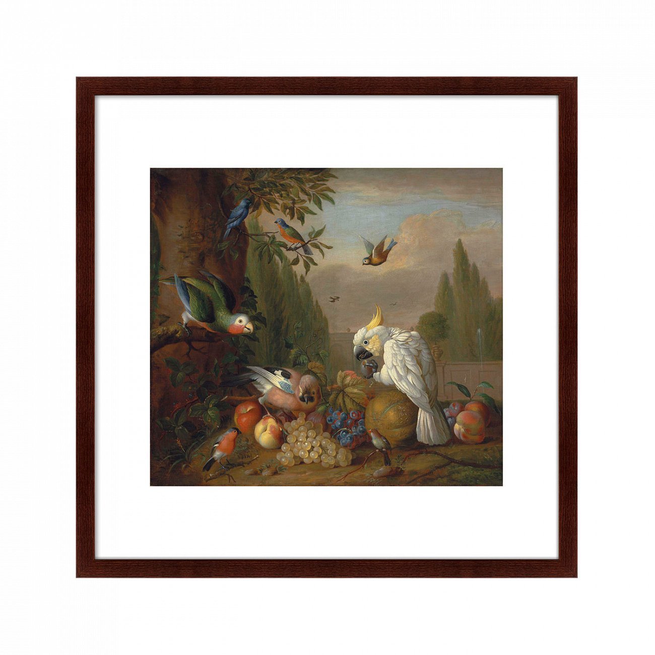 Картина: A cockatoo, a parrot, a jay and other birds, 1715г. КАРТИНЫ В КВАРТИРУ  264095 Разноцветный  - Вид №1