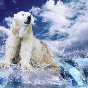 WP01861 Фотообои Verol Фотообои decoline 1х1 м