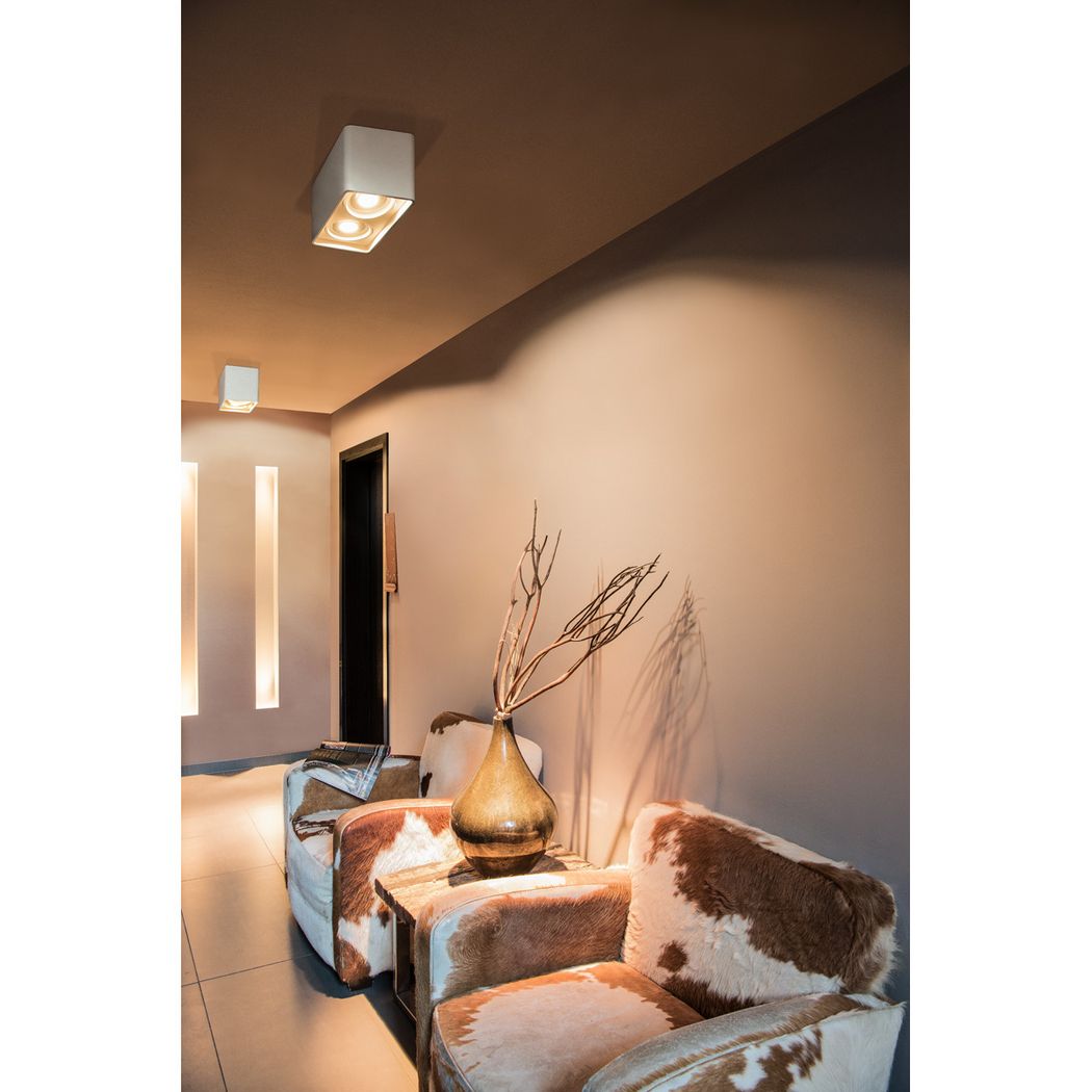 Slv 148052 потолочный 110074 - Вид №1