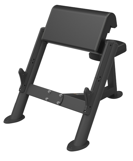 SP-4206 Spirit fitness sp-4206 скамья скотта Spirit Fitness 
