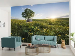 Komar Флизелиновые обои с пейзажами Wanderlust Shx9-034