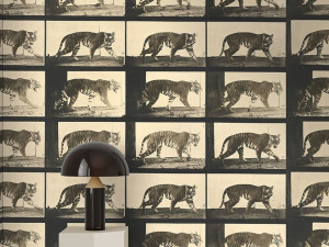 Восточные тематические обои, экологически чистые