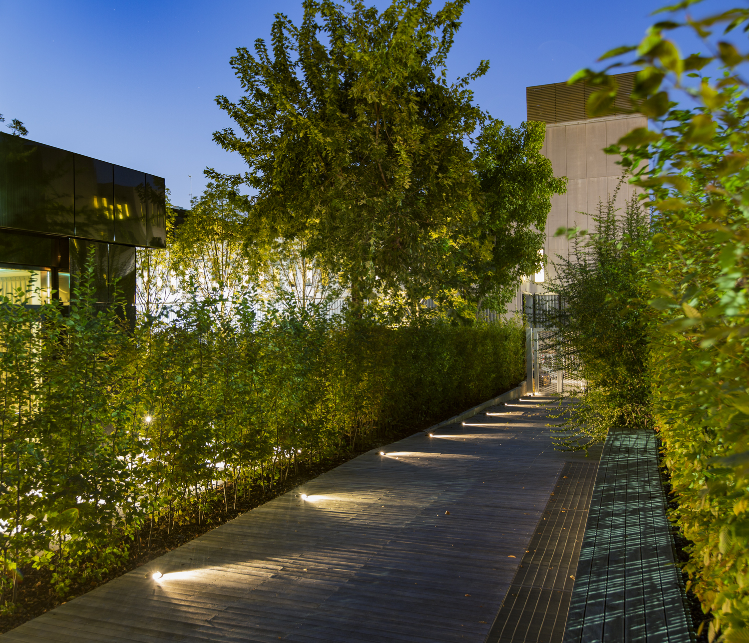 8409866 Настольный встаеваемый светильник Platek MINI Luce radente  MINI Roll Over - LED 4000K 4 Openings  - Вид №4