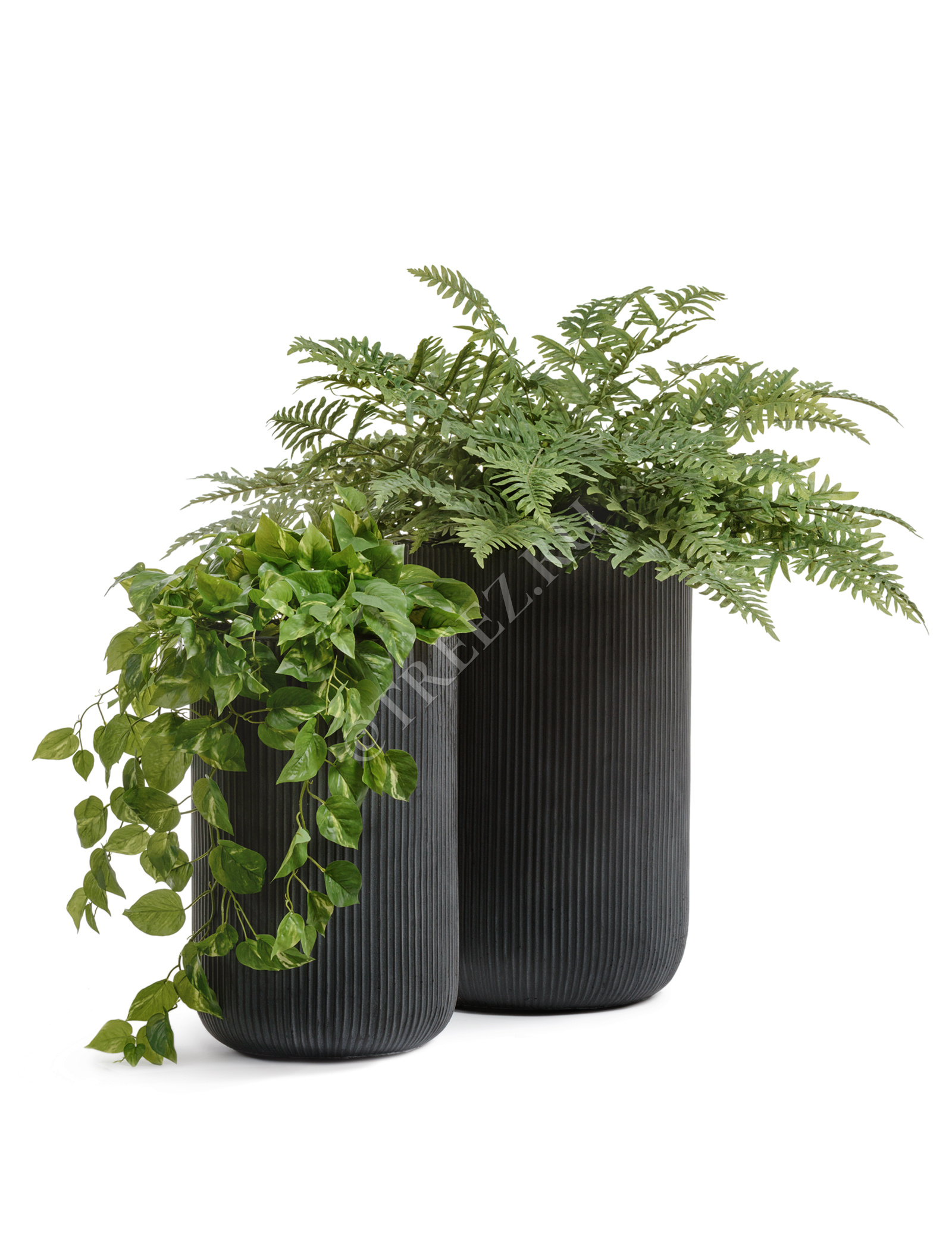 41.1020-0041-BLCK-47 Кашпо  ERGO - серия Jet - Высокий цилиндр - Антрацит Цветочная коллекция  - Вид №4