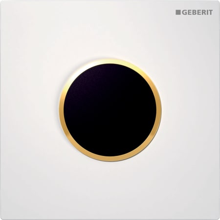 116.025.KH.1 Система электронного управления смывом писсуара Geberit, питание от сети, защитная крышка типа 10 Geberit  - Вид №5