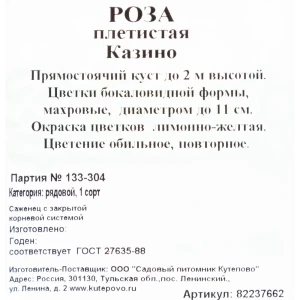 Роза плетистая «Казино» С4 82237662 STLM-2020556