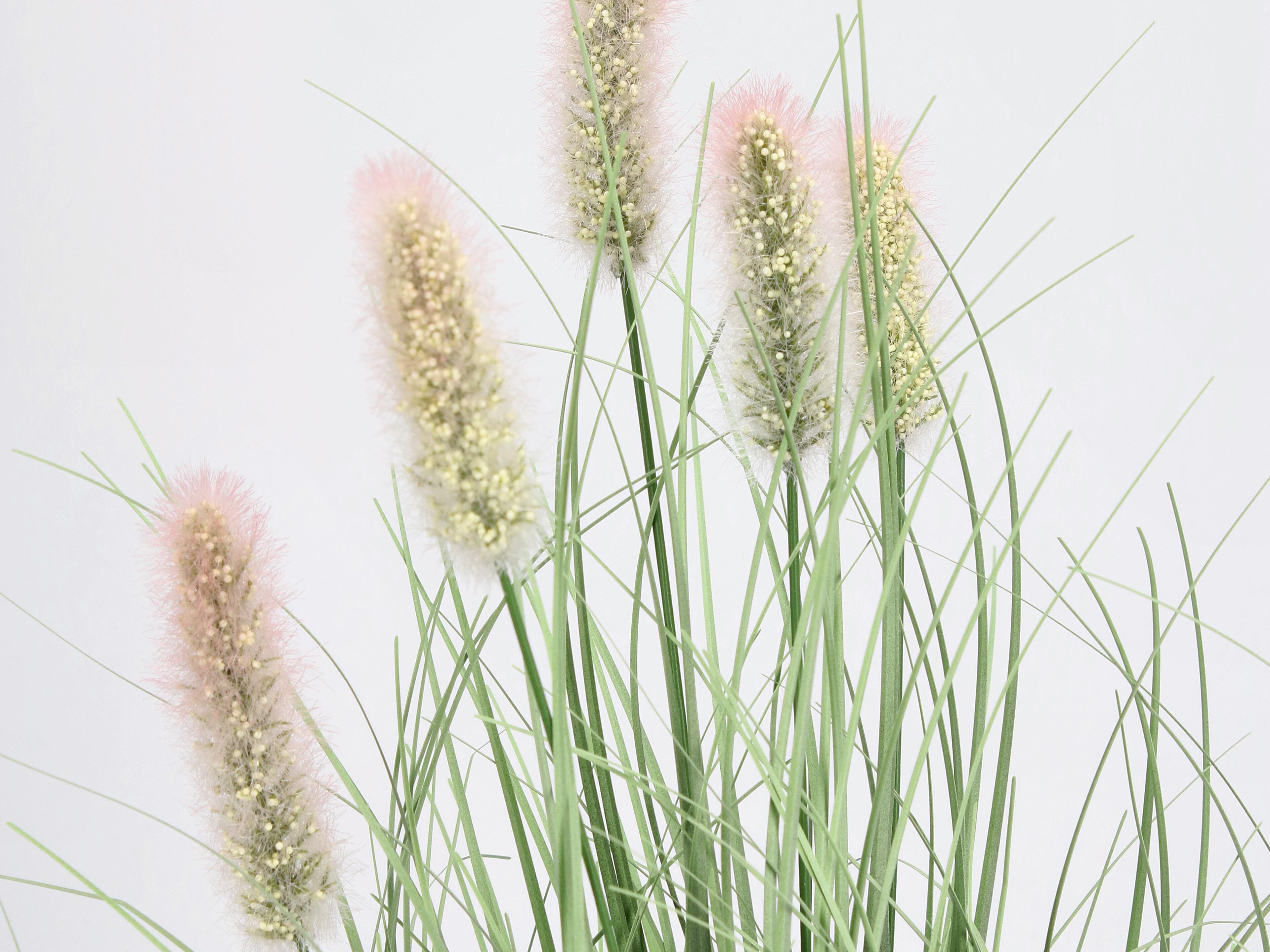 Искусственное растение BIZZOTTO PENNISETUM H61 ARCH-00129433 - Вид №1