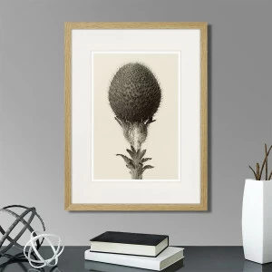 Картина: Botanical philosophy of forms №6, 1912г. КАРТИНЫ В КВАРТИРУ  264880 Разноцветный