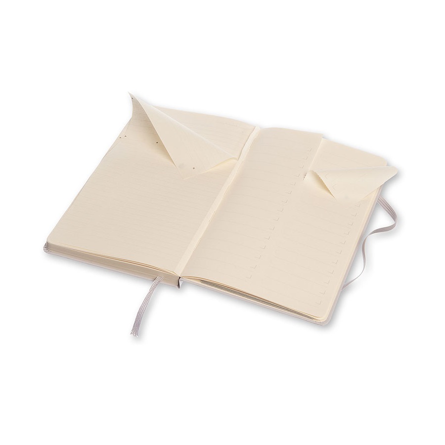 Блокнот Moleskine PROFESSIONAL LARGE, серый 396412 - Вид №4