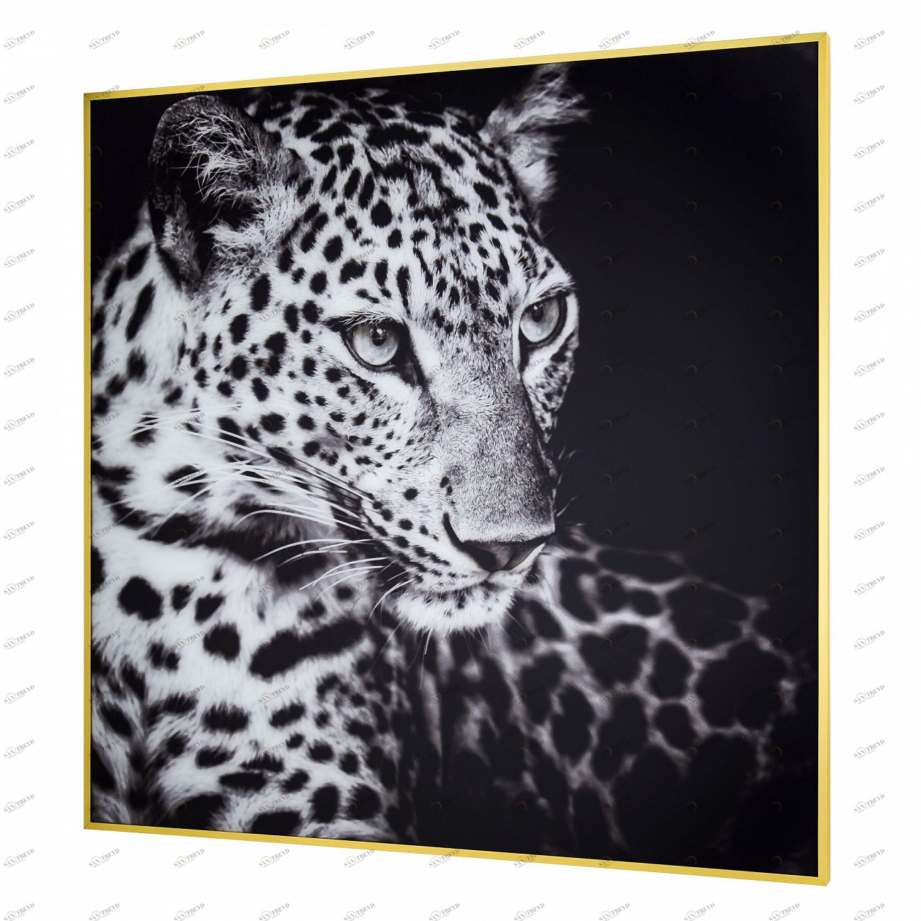 Панно интерьерное в алюминиевой раме 80х80 см черно-серое Tomas Stern TOMAS STERN  00-3872670 Серый;черный;разноцветный 