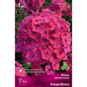 88294965 Флокс метельчатый Кэнди флосс луковица I