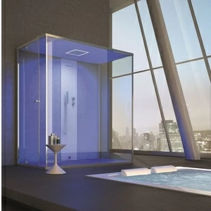 Ограждение для душа и турецкой бани Gemini 6 190х110 см 1GNU8S0