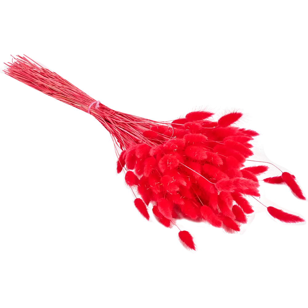 Букет из сухих цветов Лагурус микс 1 70 см Santreyd STLM-2132636 - Вид №3