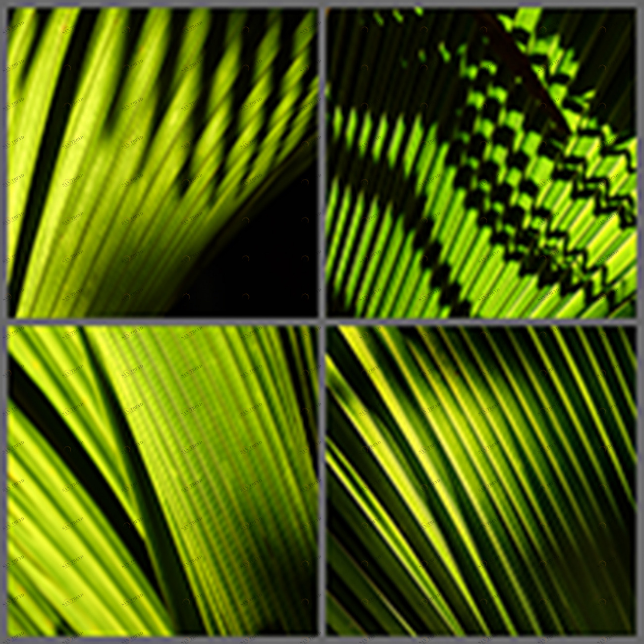 Фотокартина 60х60 см "Клавиши" PANKOVSKY STUDIO ПЛАСТИФИКАЦИЯ 015865 Зеленый;черный 