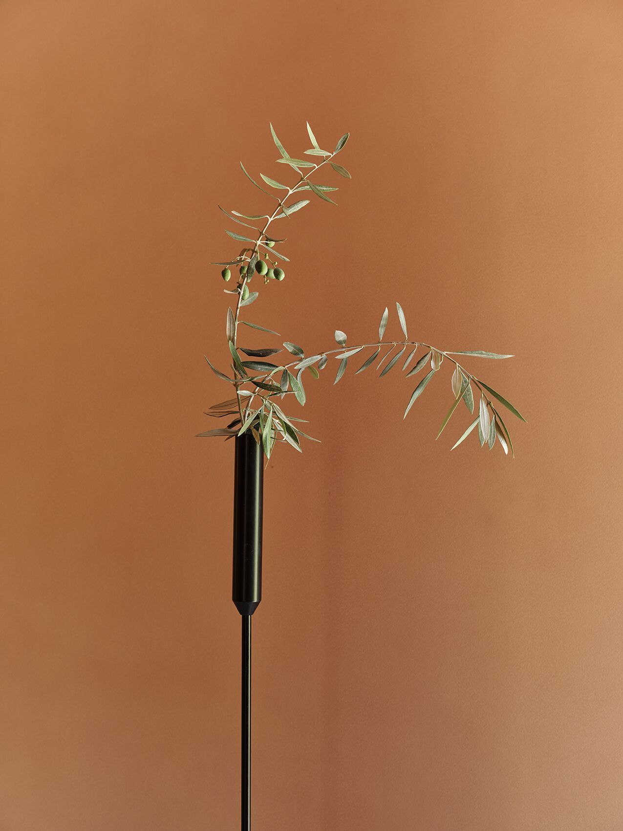 Порошковое покрытие стальной стержень горшок BD Barcelona батон ARCH-00115038 - Вид №6