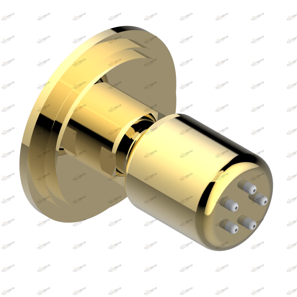 G2P-290/B Форсунка гидромассажная встраиваемая в стену 1/2" с защитой от жёсткой воды Thg-paris Froufrou с рукоятками Покрытие PVD золотистый цвет G2P 290/B CAT.F