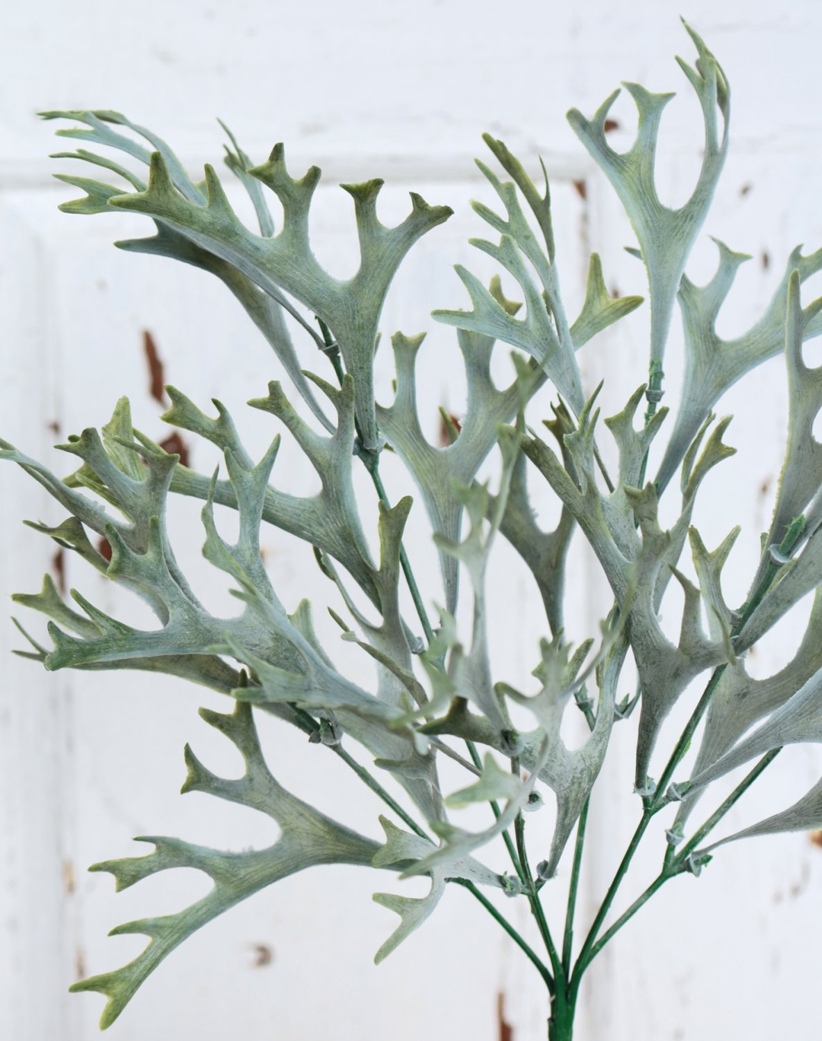 4380 809 a3 Искусственный папоротник олений рог, 35 см, зелено-серый H-andreas  - Вид №2