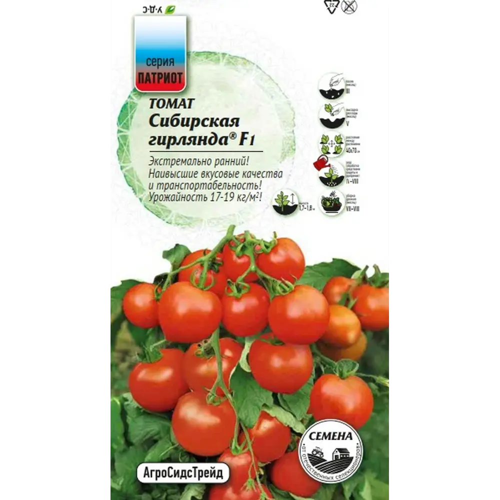 Семена овощей Агросидстрейд Патриот томат Сибирская гирлянда F1 STLM-2050856 - Вид №2