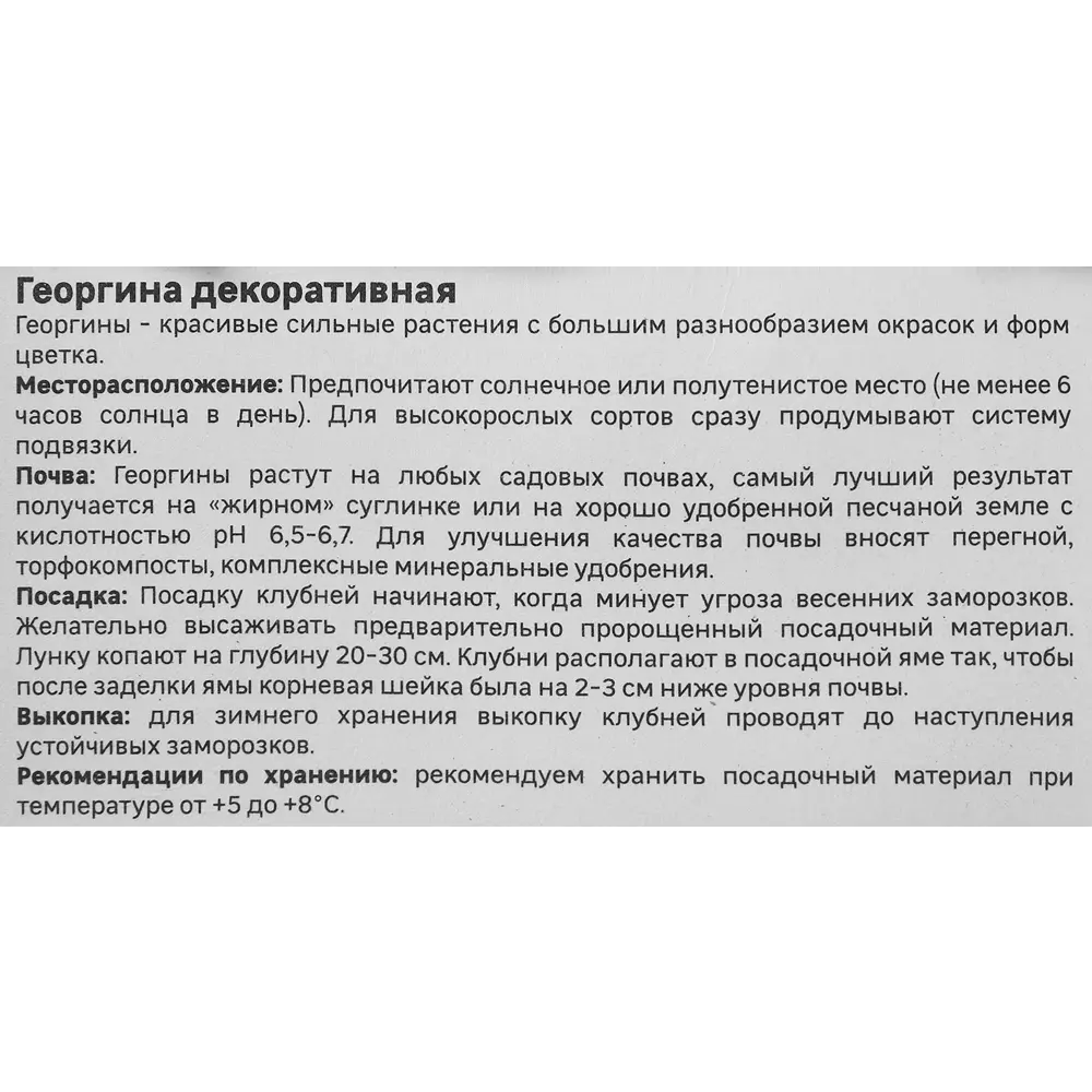 Георгина Geolia декоративная Дуэт 86408562 STLM-2022976  - Вид №3