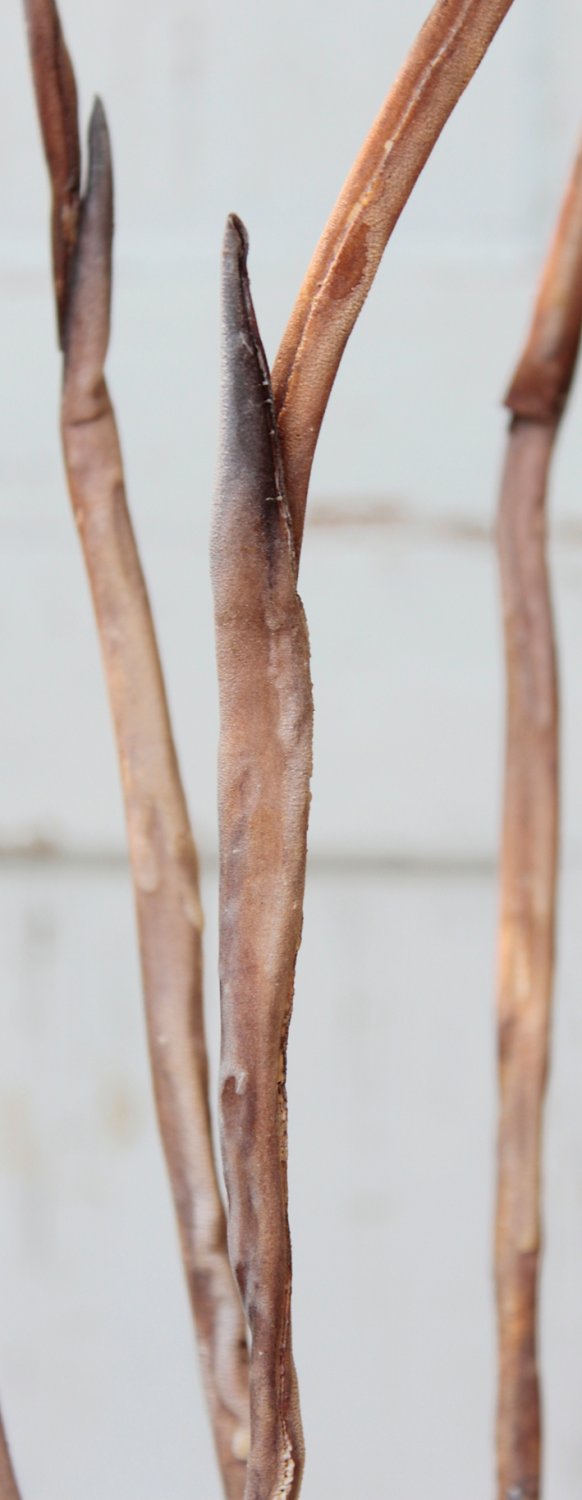 7892 616 a3 Шелковый мягкий цветок 'Ветка травы', 120 см, натуральный H-andreas  - Вид №1