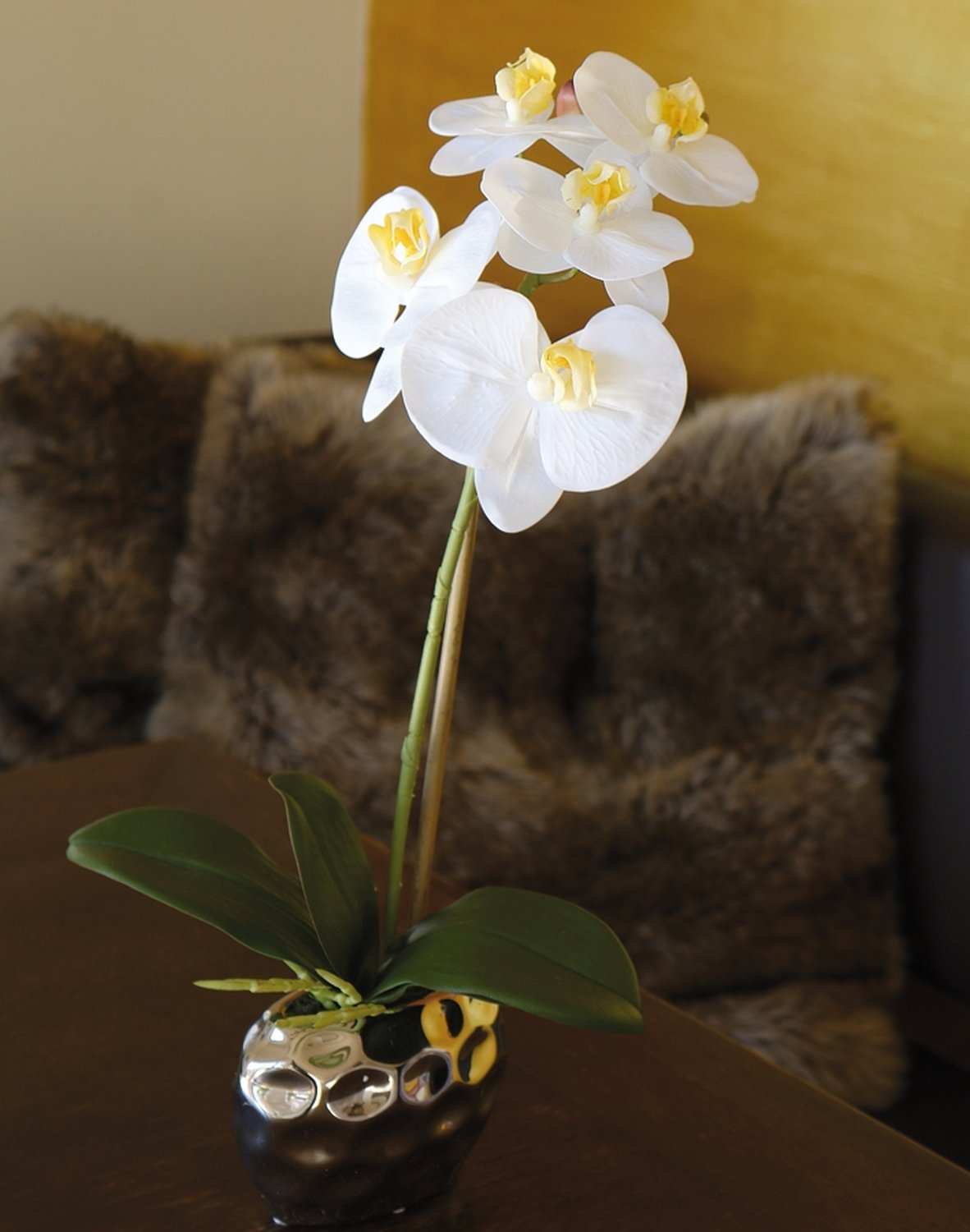 2596 778 a3 Пластиковая орхидея Phalaenopsis, горшечная, 43 см, real touch soft, бежево-белая H-andreas  - Вид №11